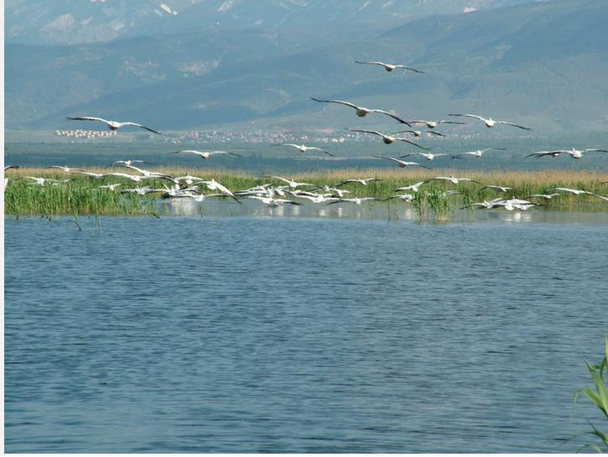 Sulak Alanlar Resim Sergisi