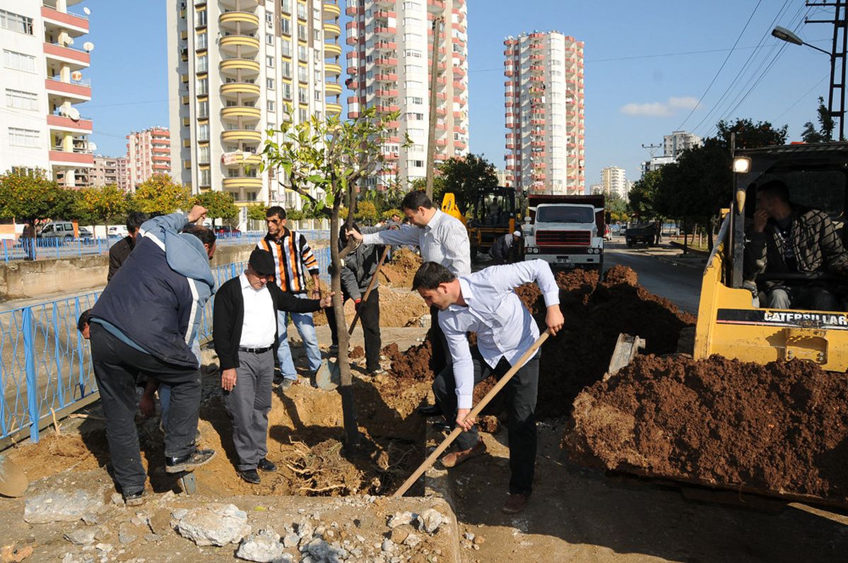 Turunçlar Özgürlüğüne Kavuşuyor