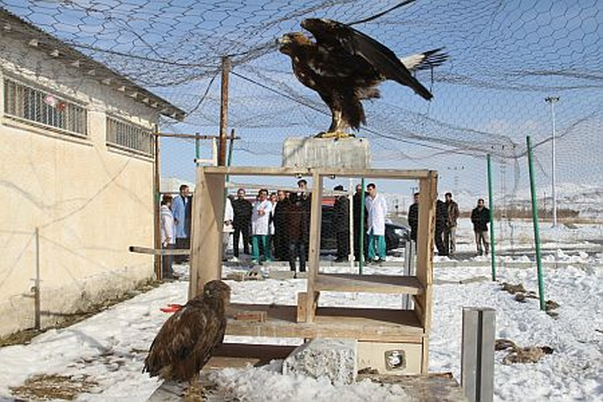 Van'da Yabani Hayvanları Koruma Merkezi Kurulacak