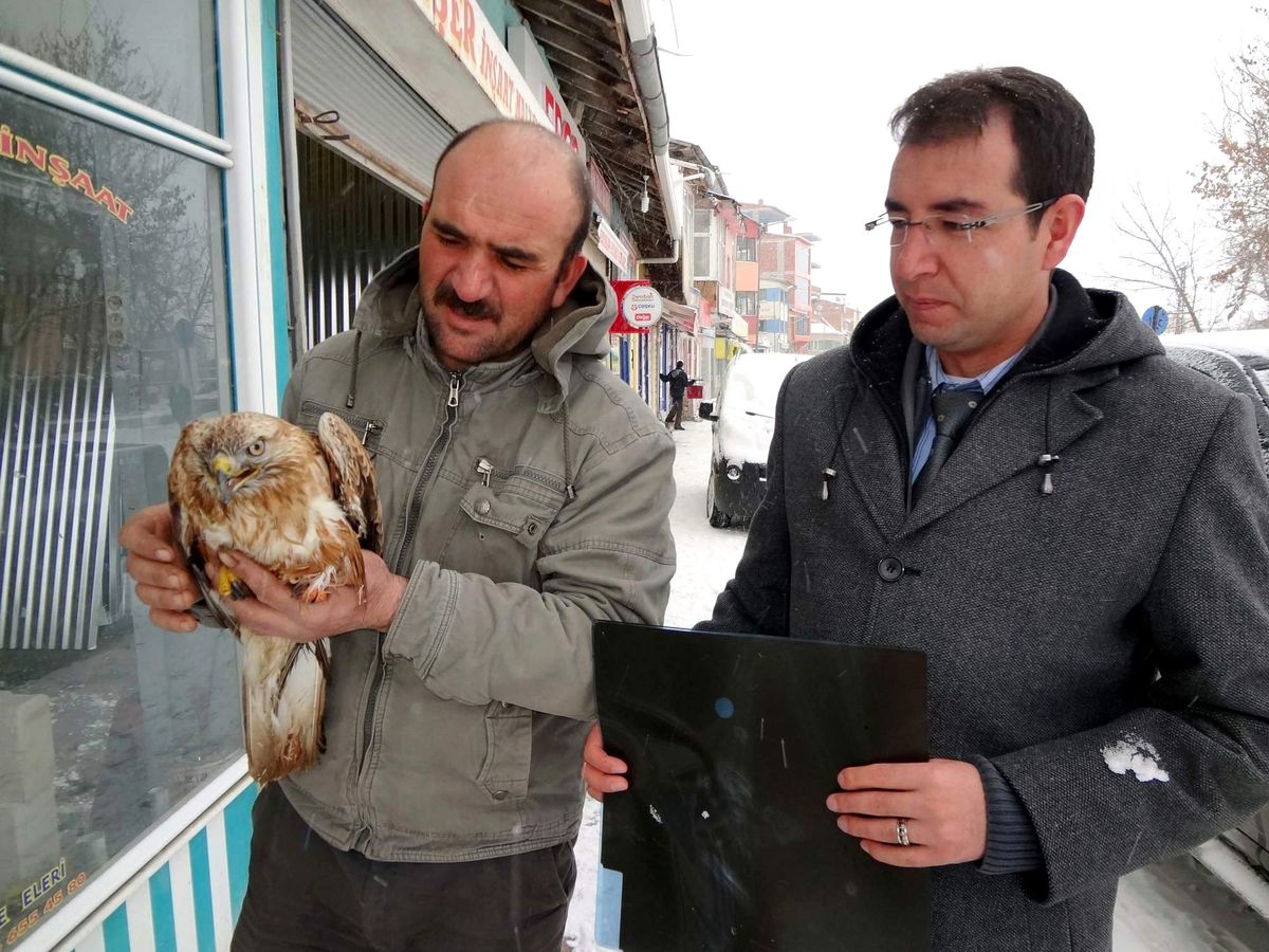 Yaralı Kartala Sağlıkçı Şefkati