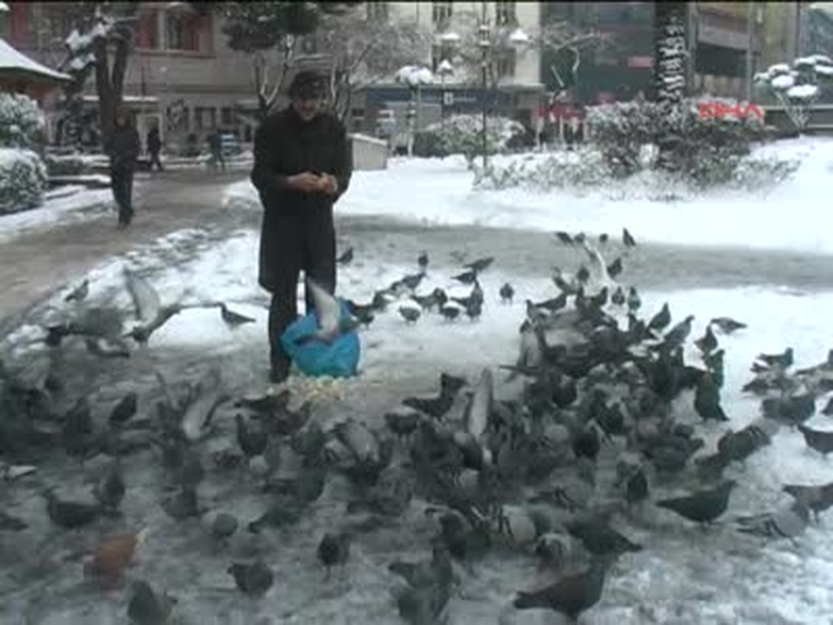Zonguldak'ta Kar, 102 Köy Yolunu Ulaşıma Kapattı Aç Kalan Kuşlara Yem Verdiler
