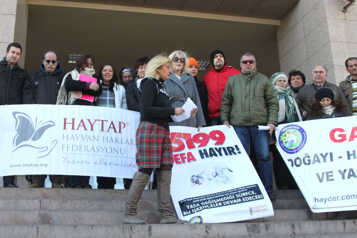 Kedinin Tekmeleyerek Öldürülmesi Davası