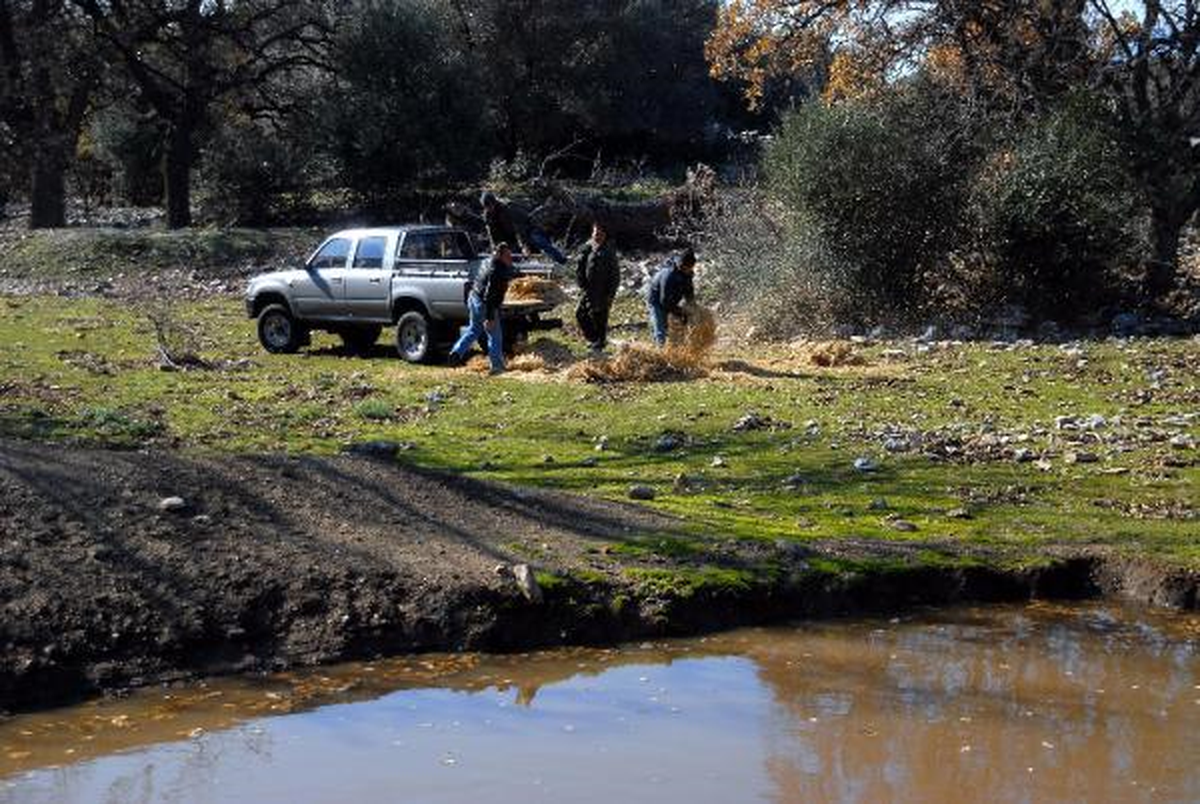 Milli Parktaki Hayvanlar İçin Saman ve Yem Bırakıldı