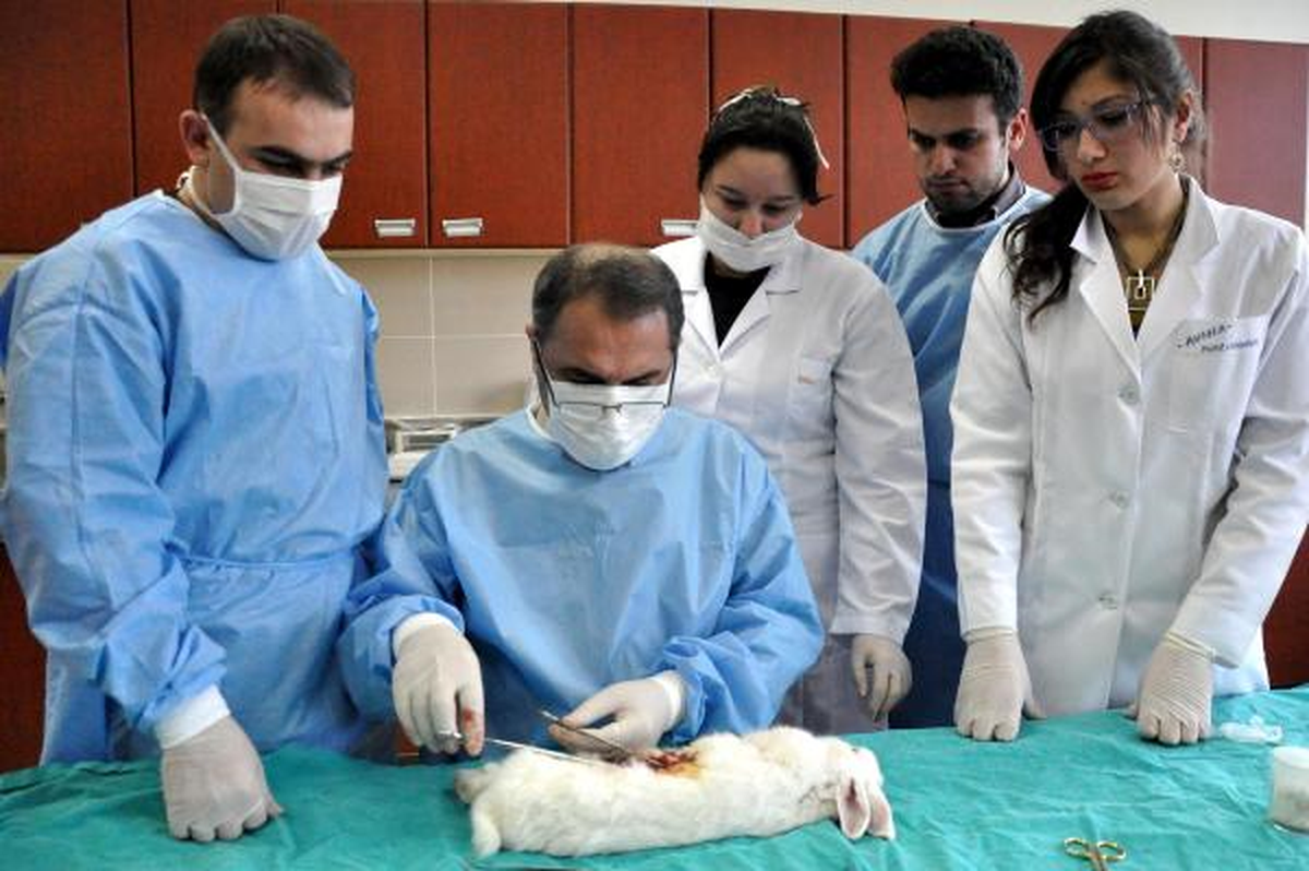 Profesör Süleyman Uyardı; Ülser İlacı, Mide Kanseri Riskini Artırıyor