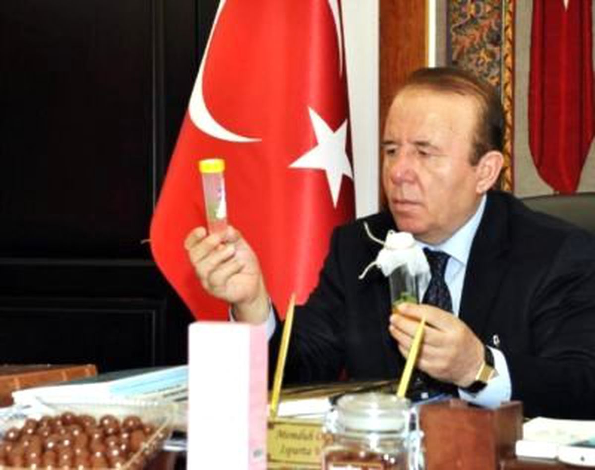 Sevgililer Günü'ne Özel 'Kavanozda Canlı Gül'