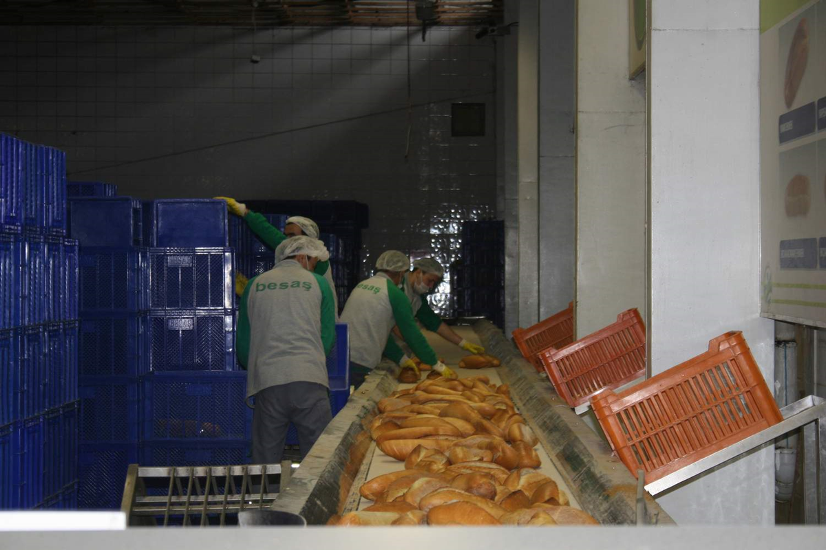 Üniversiteliler Kendi Ekmeğini Kendi Çıkaracak