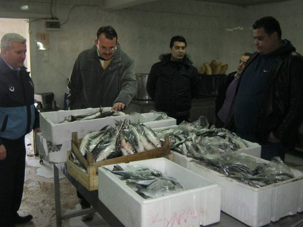 Zabıta, Sağlıksız Balık Satışına Geçit Vermedi