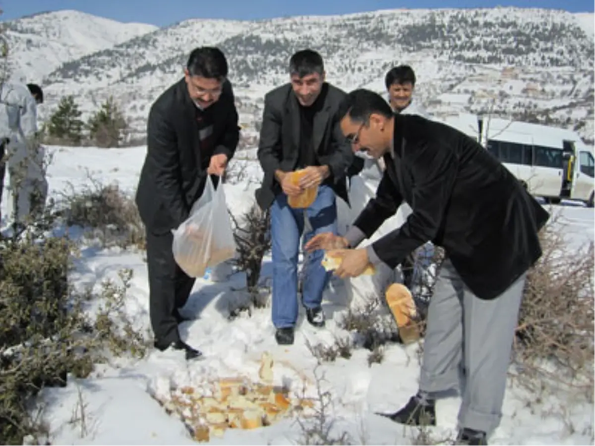 Zor Günlerde Yaratılanın Yanında Olabilmek