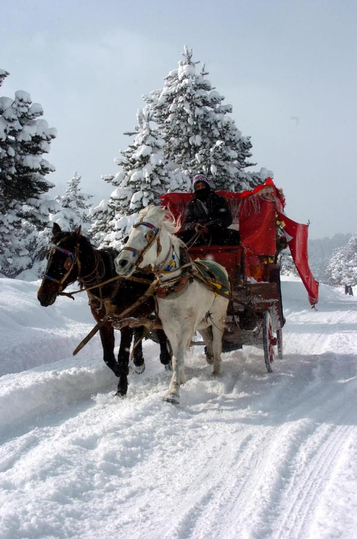 Arap Turistlerin Kar Keyfi