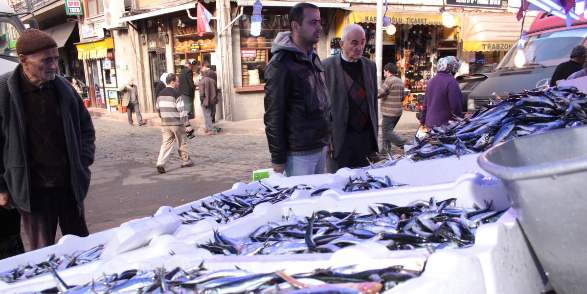 Balık Fiyatları Tavan Yaptı