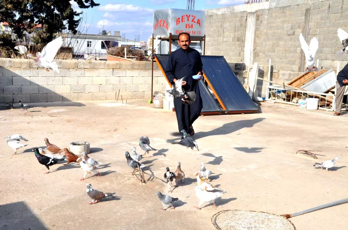 Kuşçular Güneşli Havanın Tadını Çıkardı