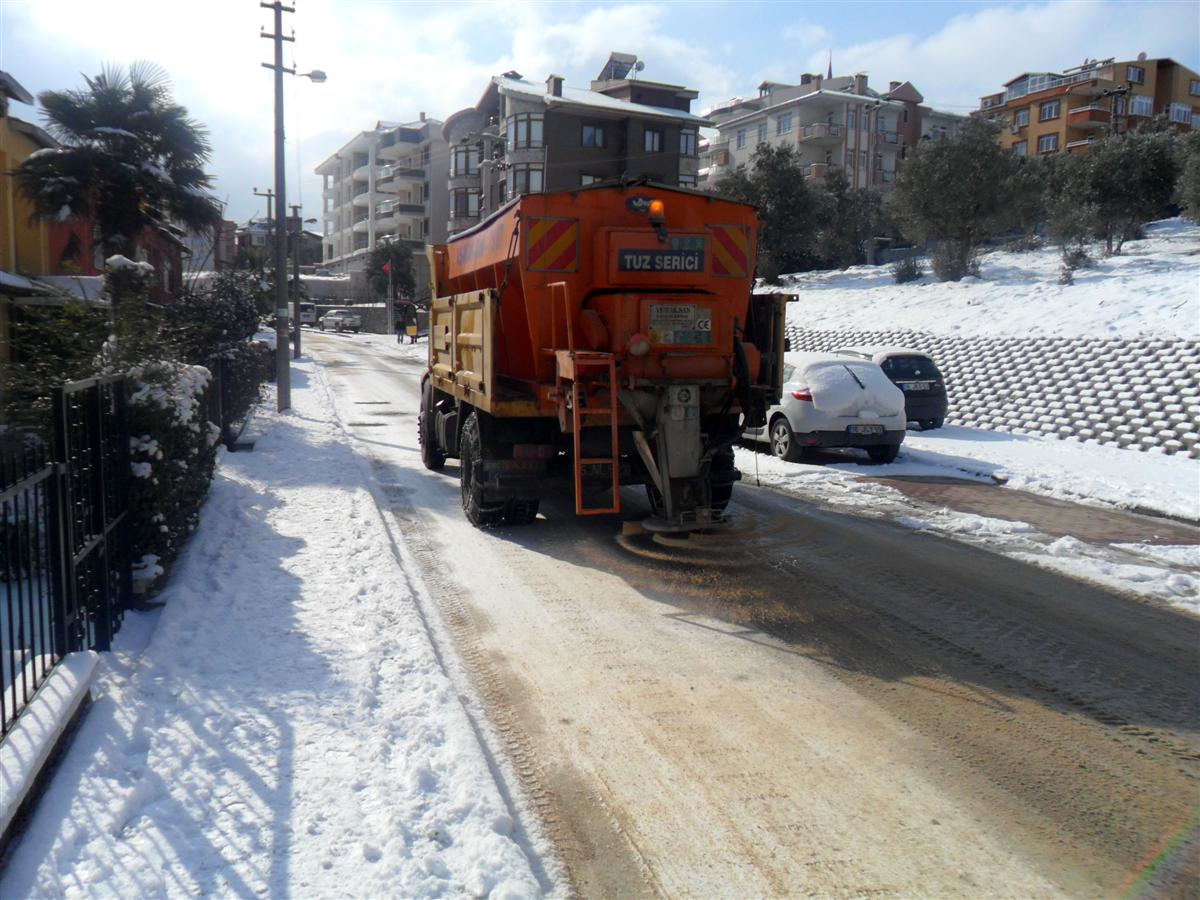 Nilüfer'de Kar Seferberliği
