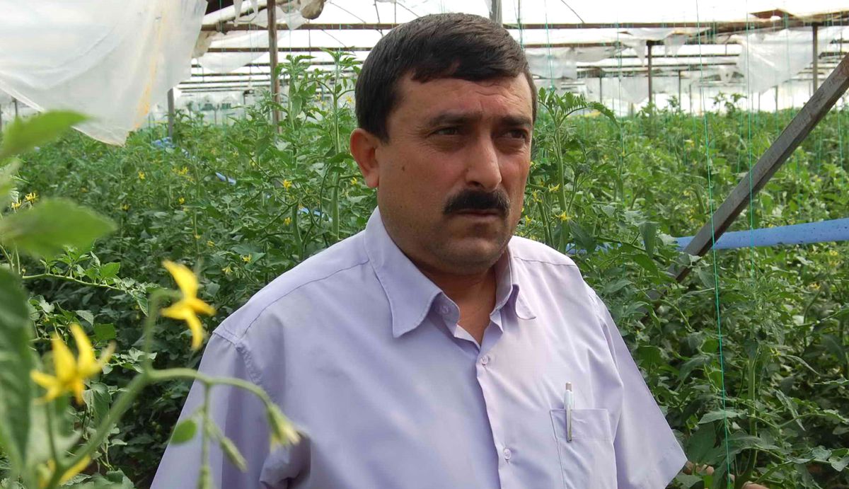 Simavlı Seracıda Don Nöbeti Dönemi Bitti