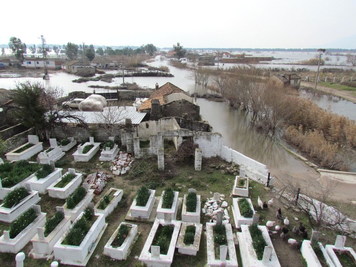 Sular Altında Bir Yaşam