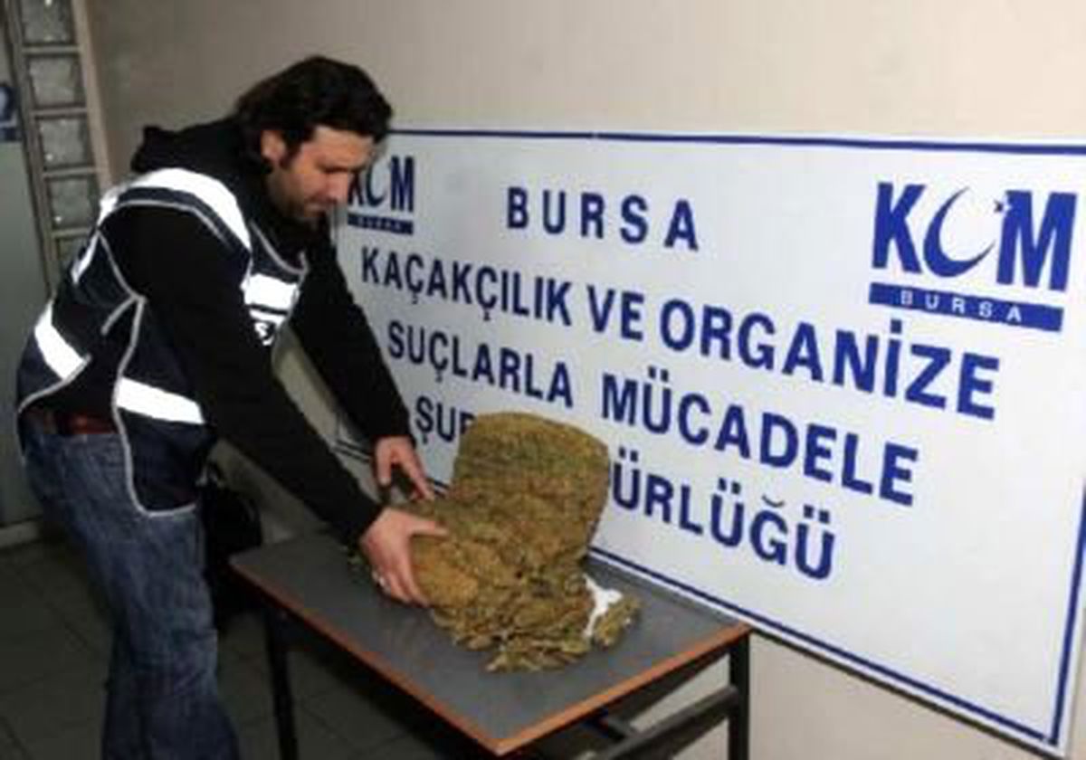 Bursa\'da 61 Yaşındaki Esrar Tacirine Polis Baskını