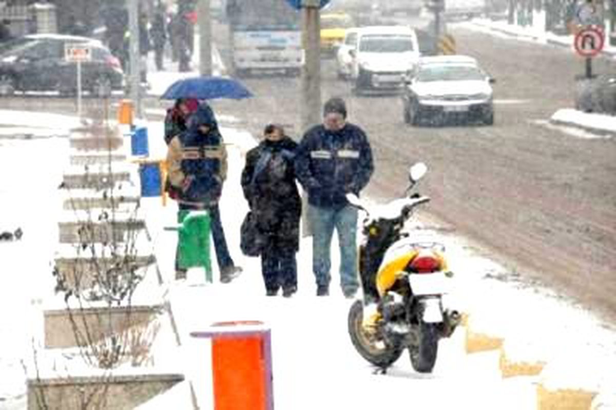 Edirne'de Kar Yağışı Başladı