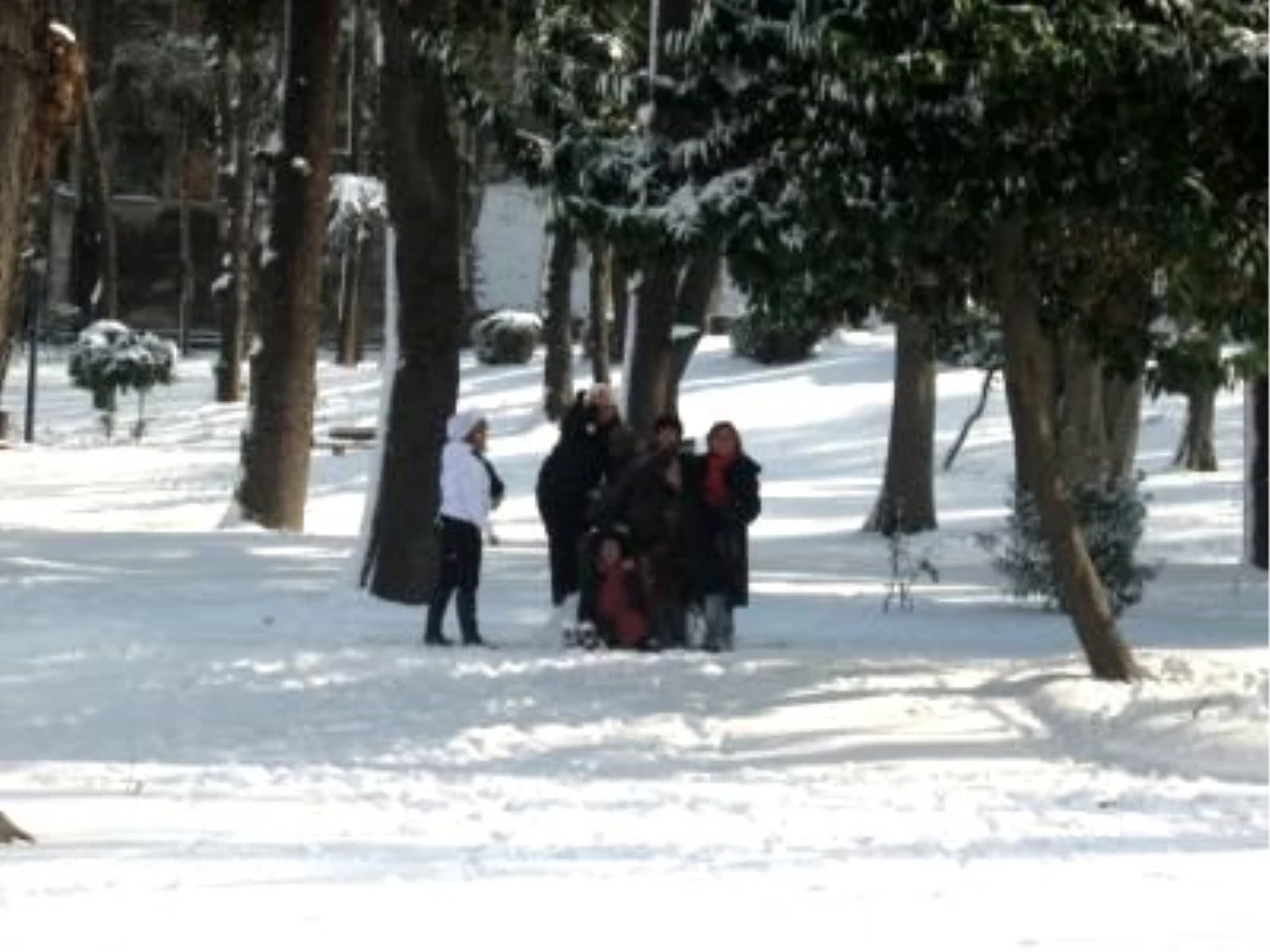 İstanbul\'da Kar Yağışı Yaban Hayatını da Etkiliyor