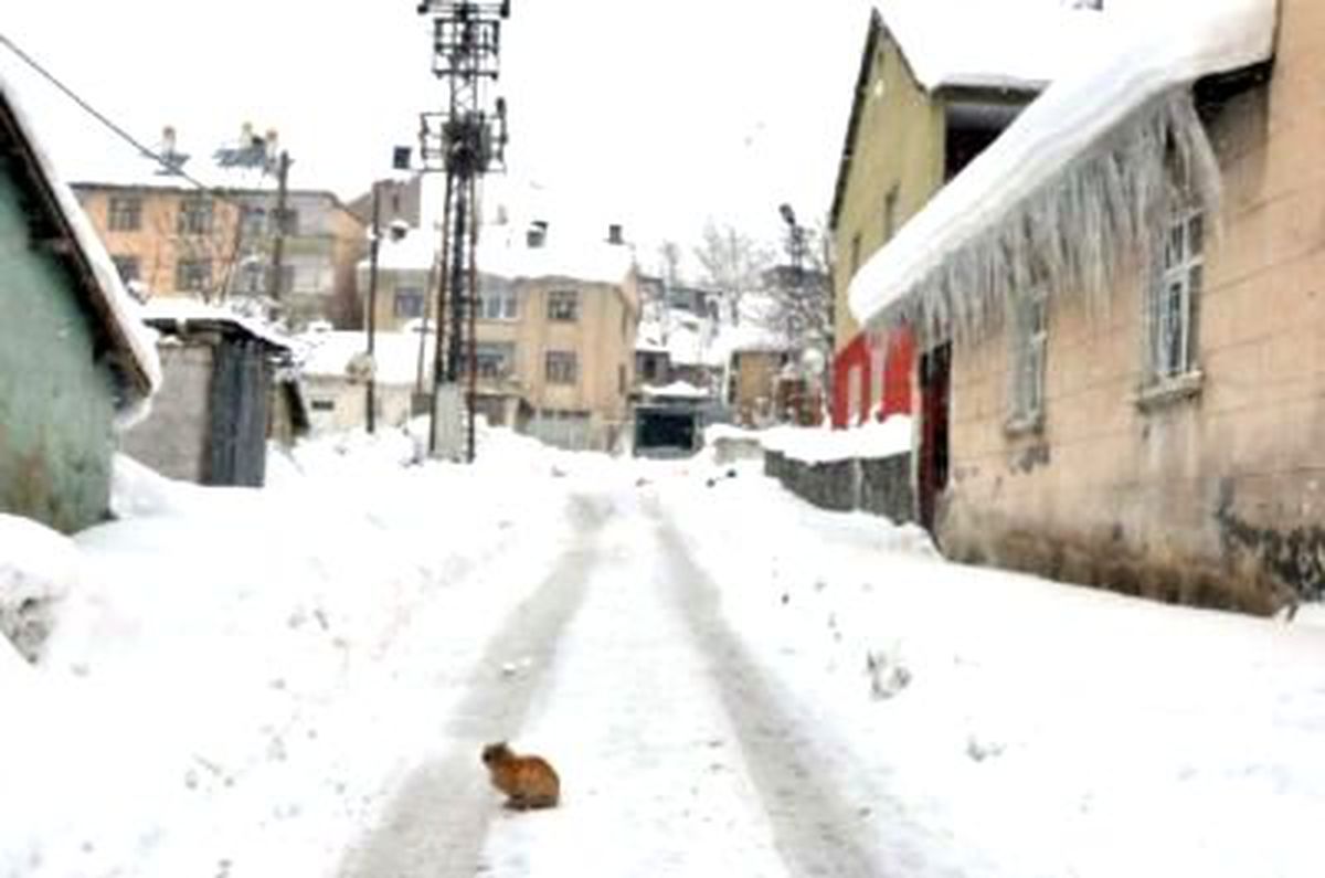 İstanbul'da Karla Karışık Hayat