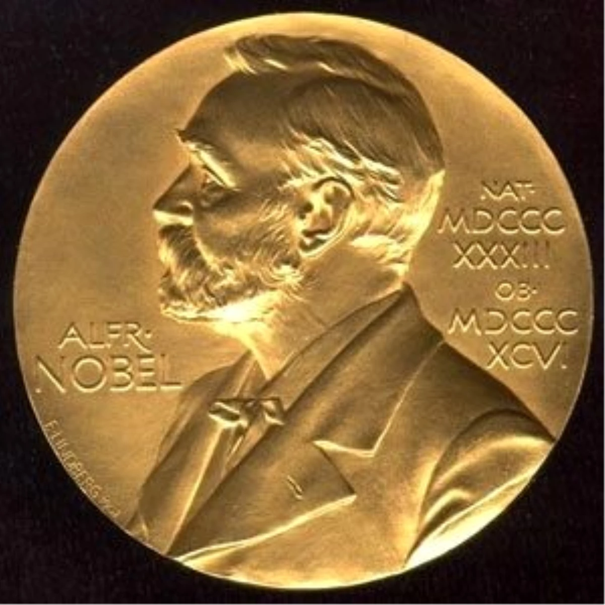 Nobel Barış Ödülü Jürisi Eleştirilerin Hedefi Oldu