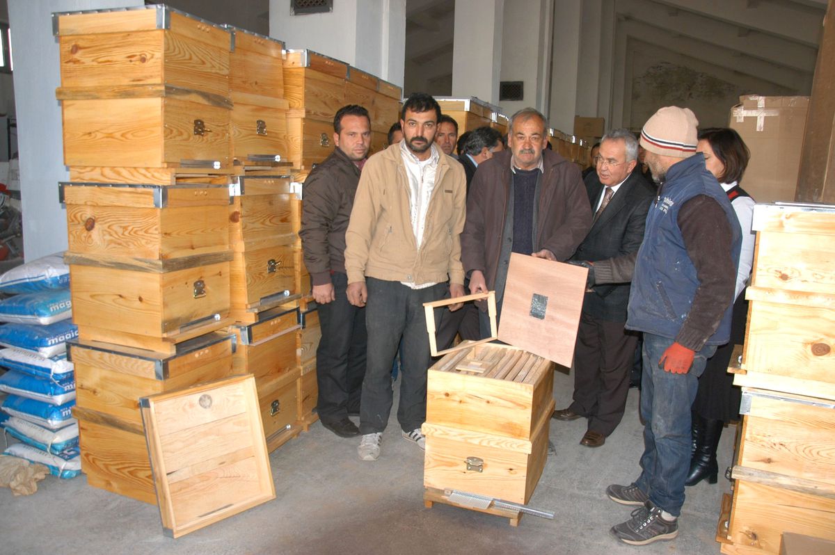 Organik Çam Balı Üretiliyor