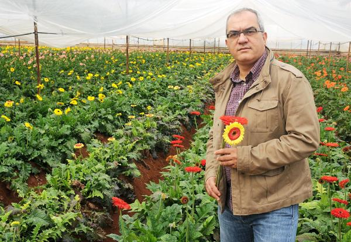 Sevgililer Çiçeksiz Kalacak