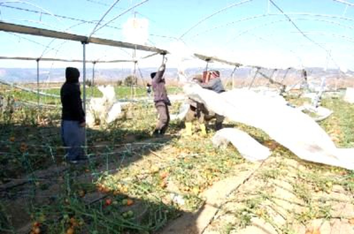 Silifke'de Fırtına Serayı Yıktı