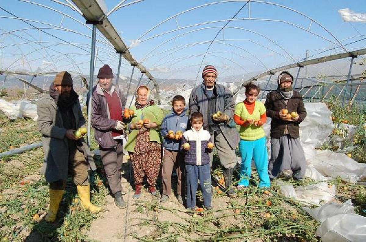 Silifke'de Hortum Seraları Yıktı