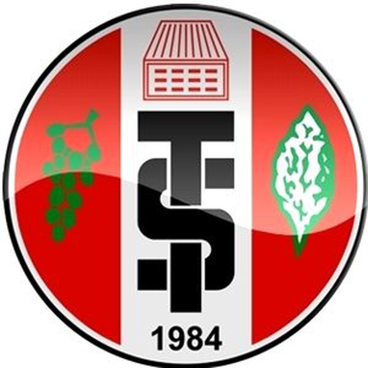 Turgutluspor, Levent Kartop ile Anlaştı
