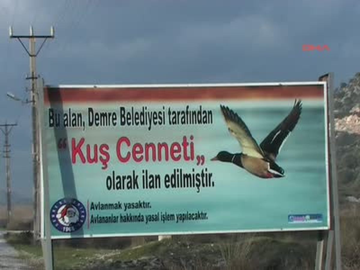 Cennete Kuş Akını