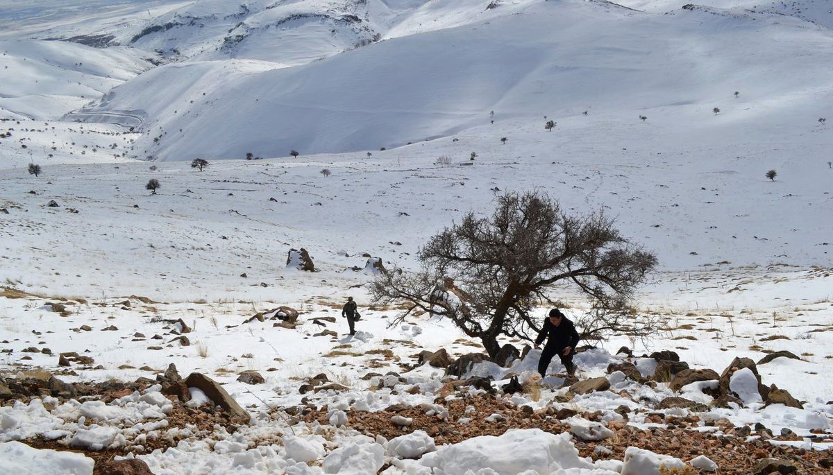 Niğde'de Dağlara Yem Bırakıldı