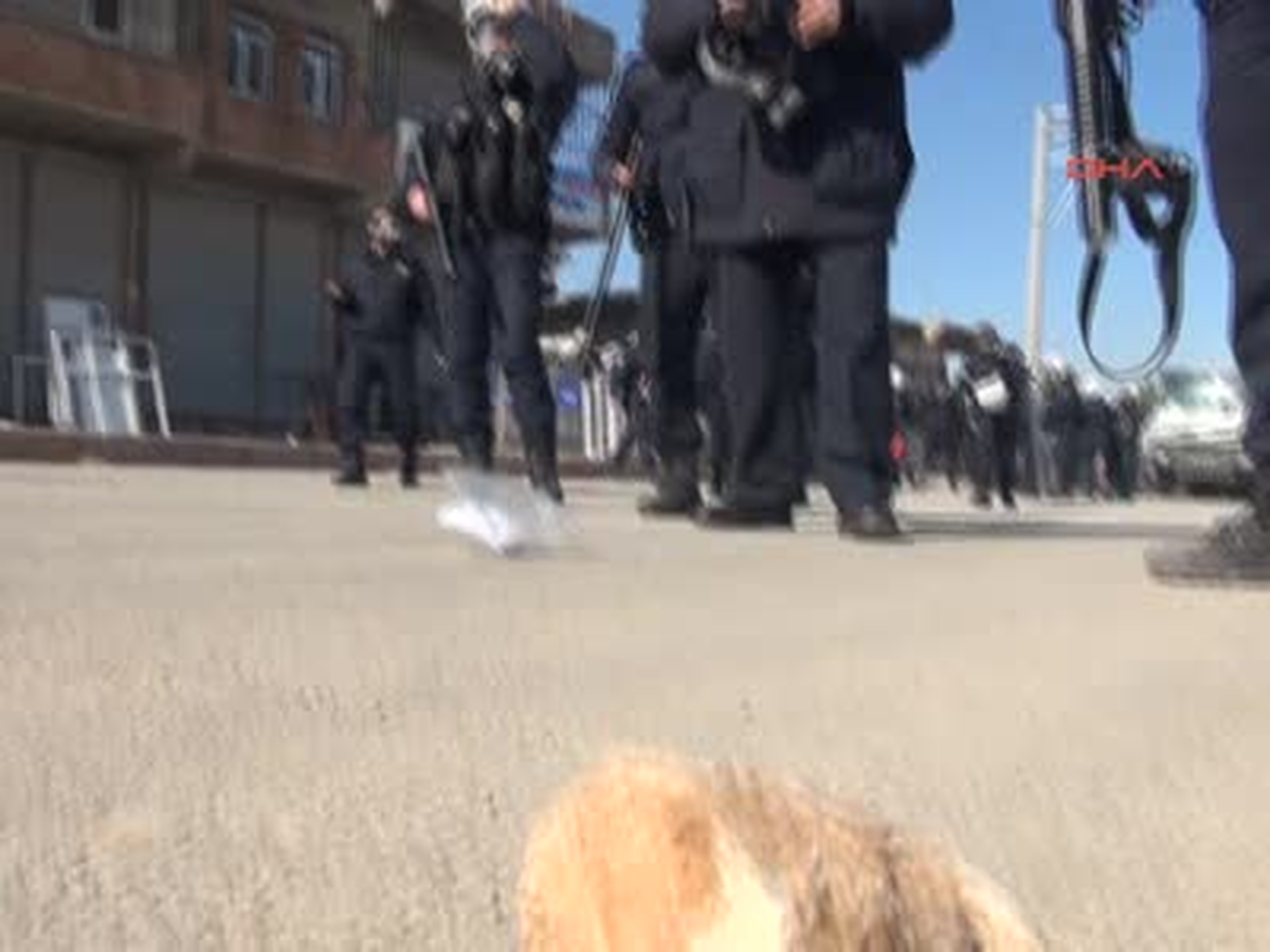 Şanlıurfa'daki Kaçak Yapıların Yıkımında Gerginlik