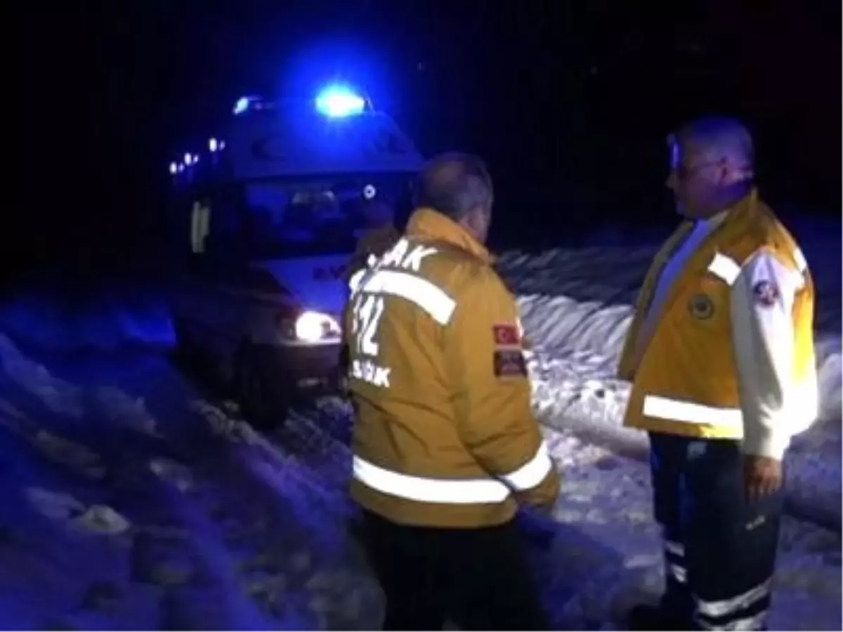 Sariye Nineyi Kar Paletli Ambulans Kurtardı