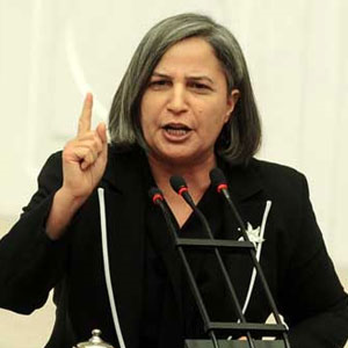 'Üç Paşayı Güdemiyorsun'a Dava