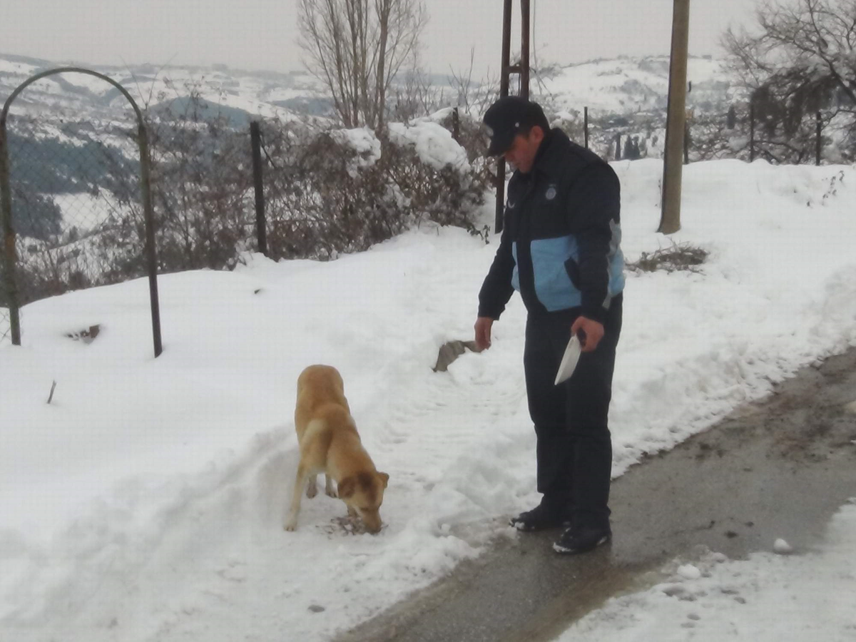 Yemek Atıkları Çöpe Değil Köpeklere