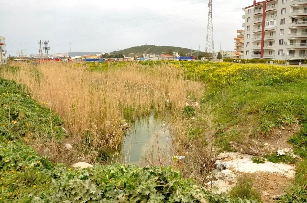 Aliağa Belediyesi Bataklığı Yaşam Alanına Dönüştürdü