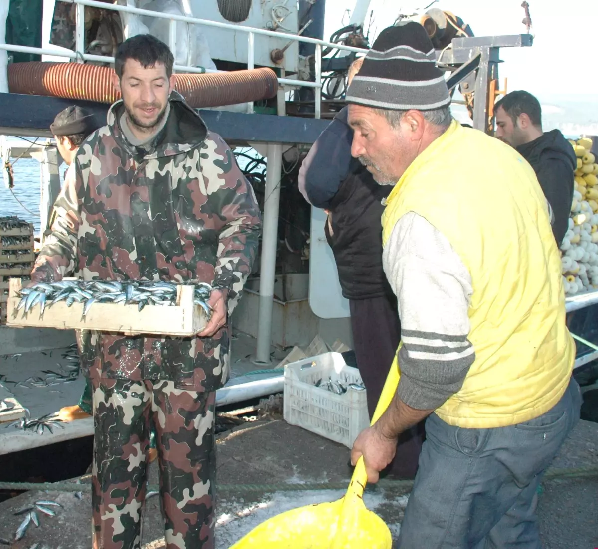 Çanakkaleli Balıkçılar Boğazda 7 Ton Sardalya Yakaladı