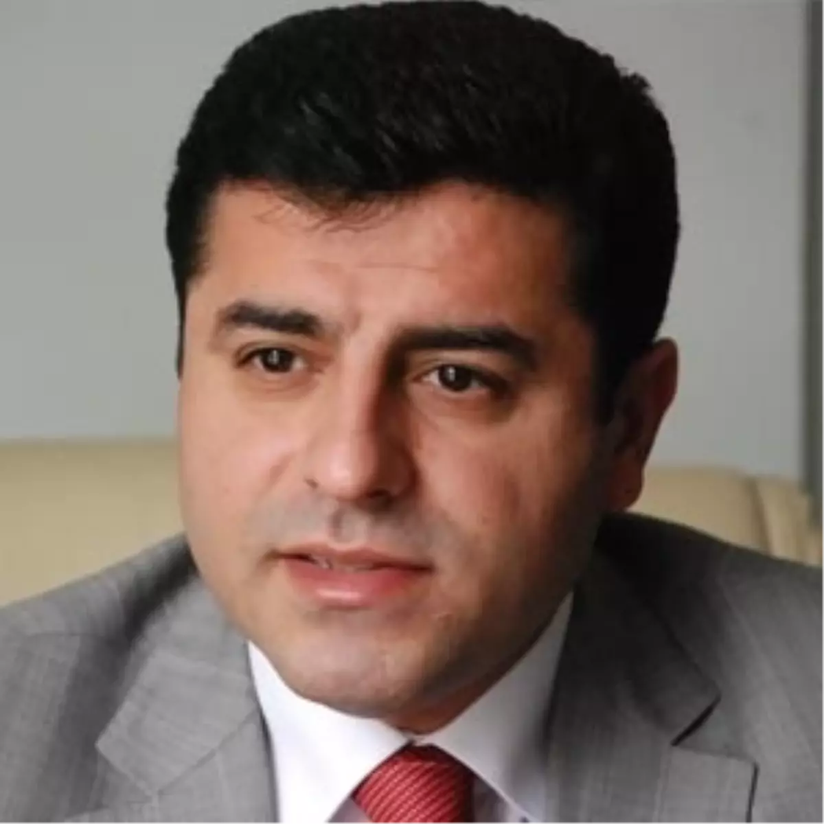 BDP\'li Demirtaş: İmralı Sisteminin Ortadan Kaldırılması Lazım