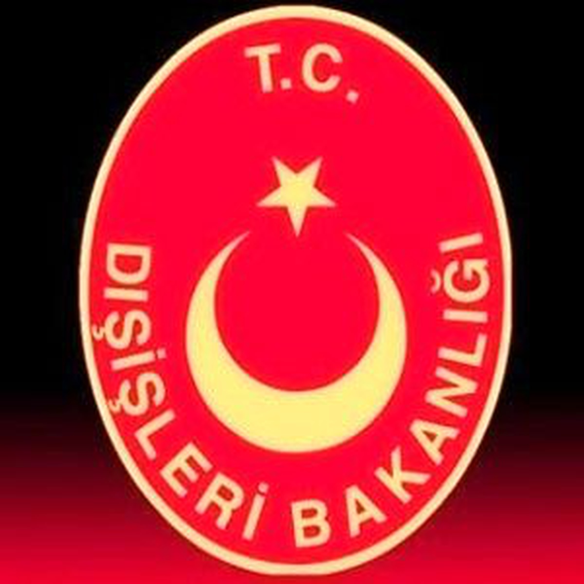 Dışişleri: İkinci Kez Vetoyu Teessüfle Karşılıyoruz