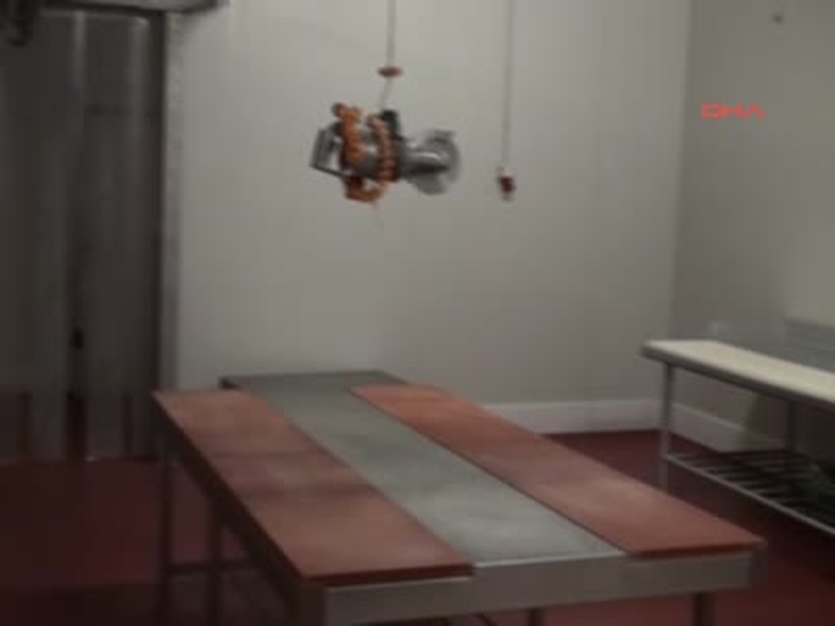 Türk İş Adamının AB Ruhsatı Çilesi