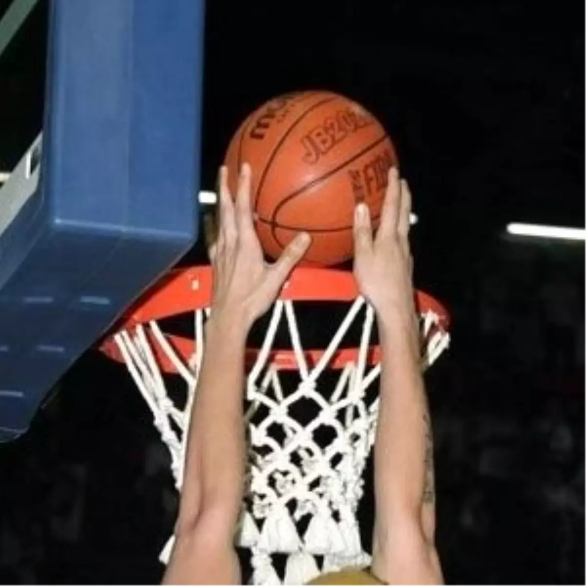 Aliağa Petkim: 72 - Anadolu Efes: 76