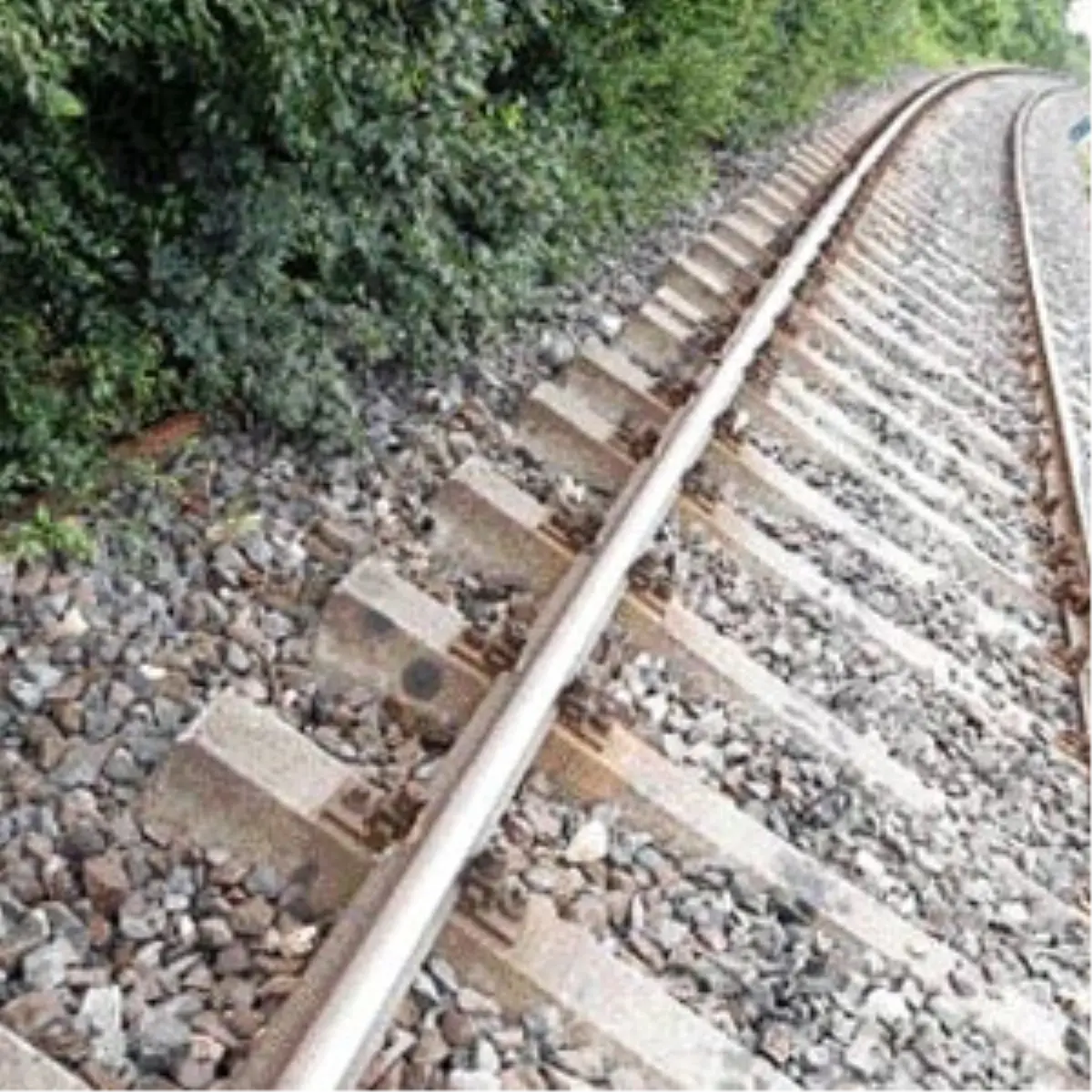 Belgrad-İstanbul Treni Raydan Çıktı