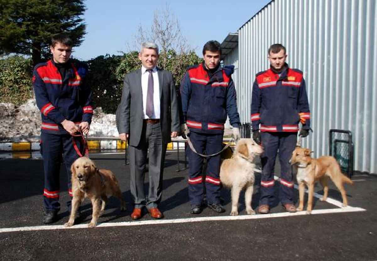 Ereğli İtfaiye Müdürlüğü'ne 3 Arama Kurtarma Köpeği