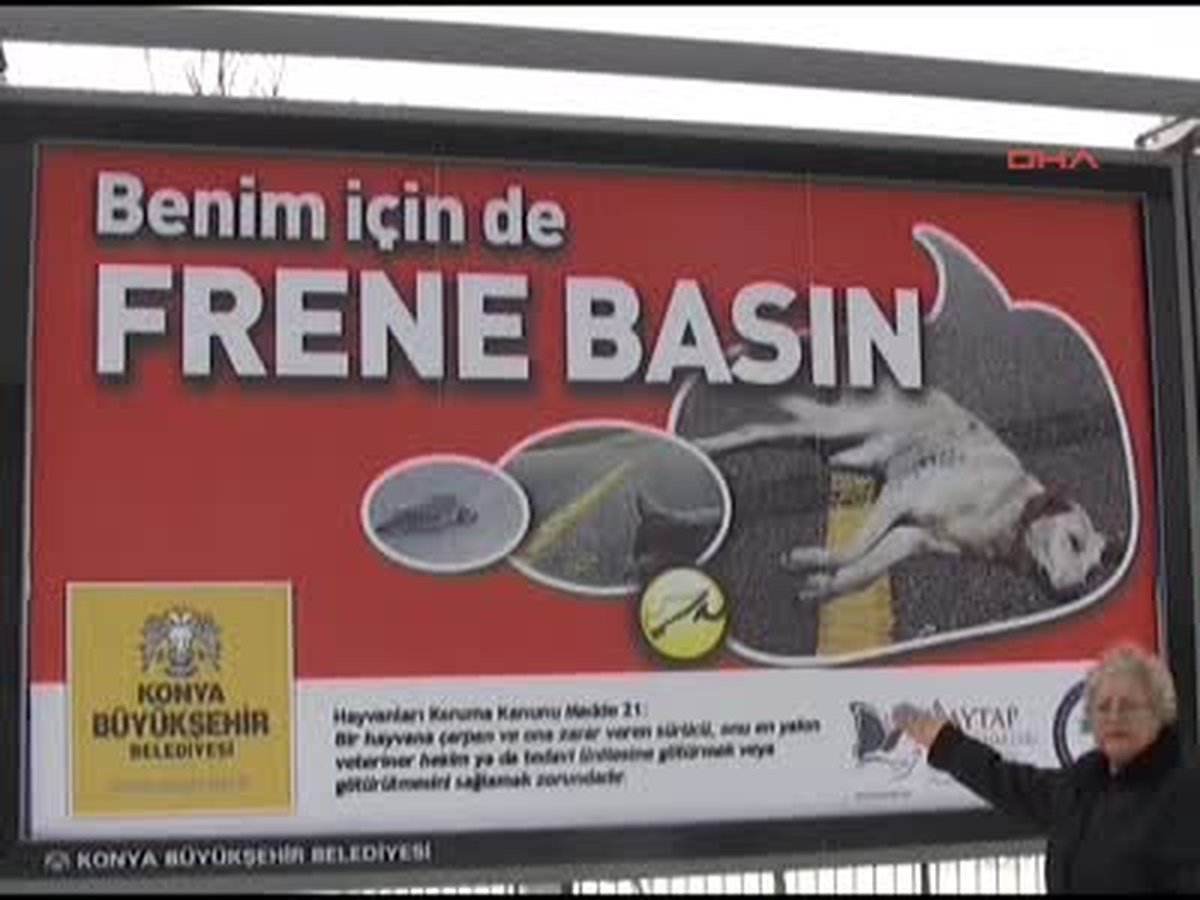 Kazaya Kurban Giden Hayvanlar İçin 'Benim İçin de Frene Basın' Kampanyası