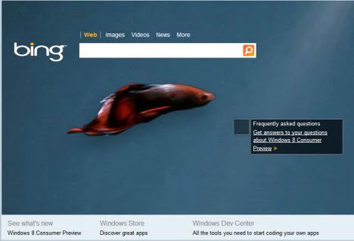 Bing'den Windows 8 Sürprizi!