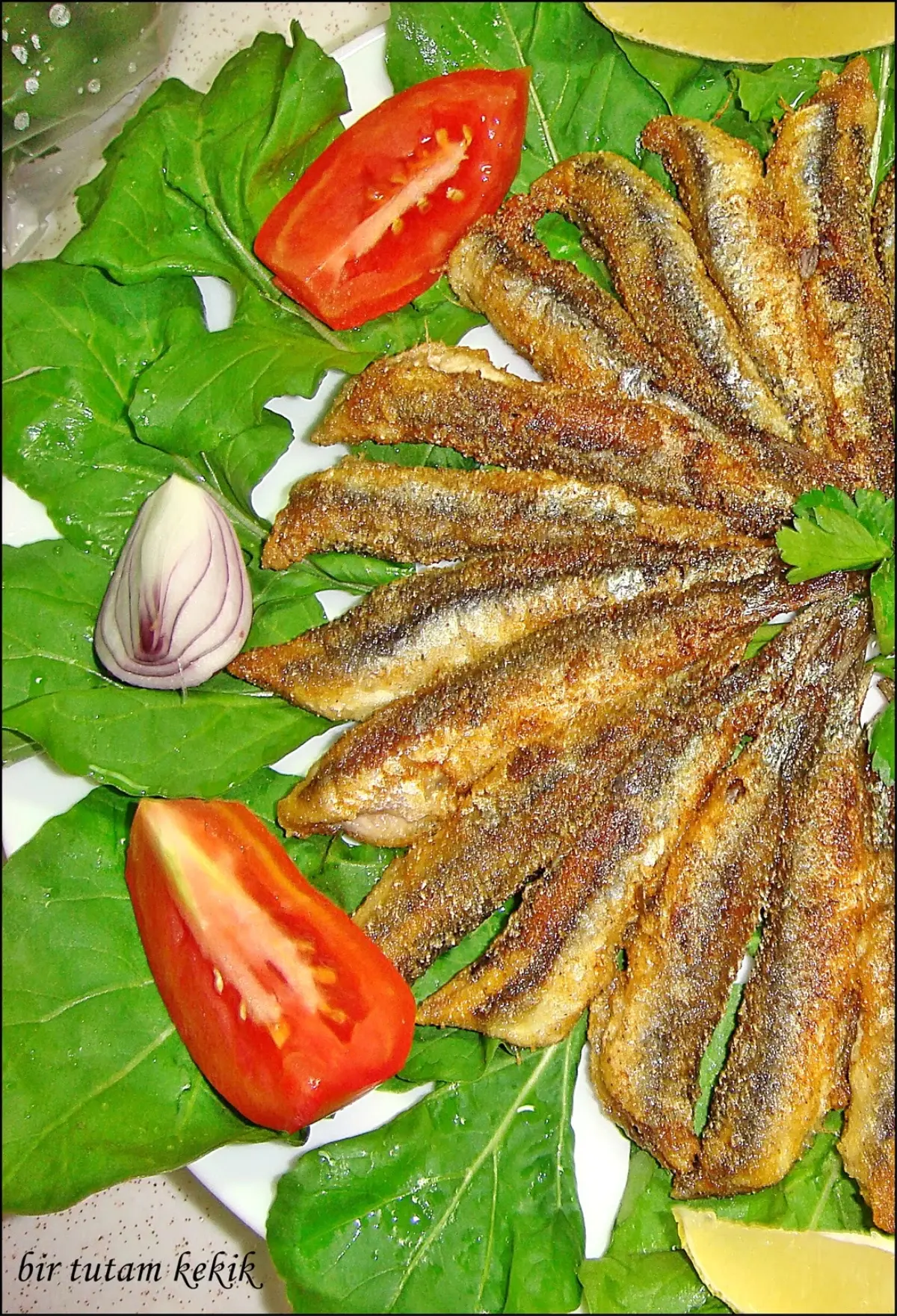 Hangi Balık Ne Zaman Yenir