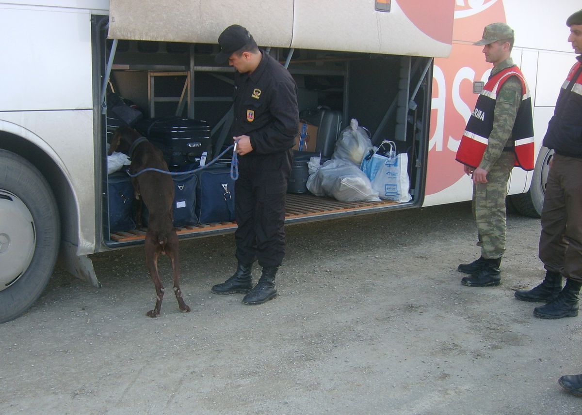 Narkotik Köpeği 'Asit' Denetimde