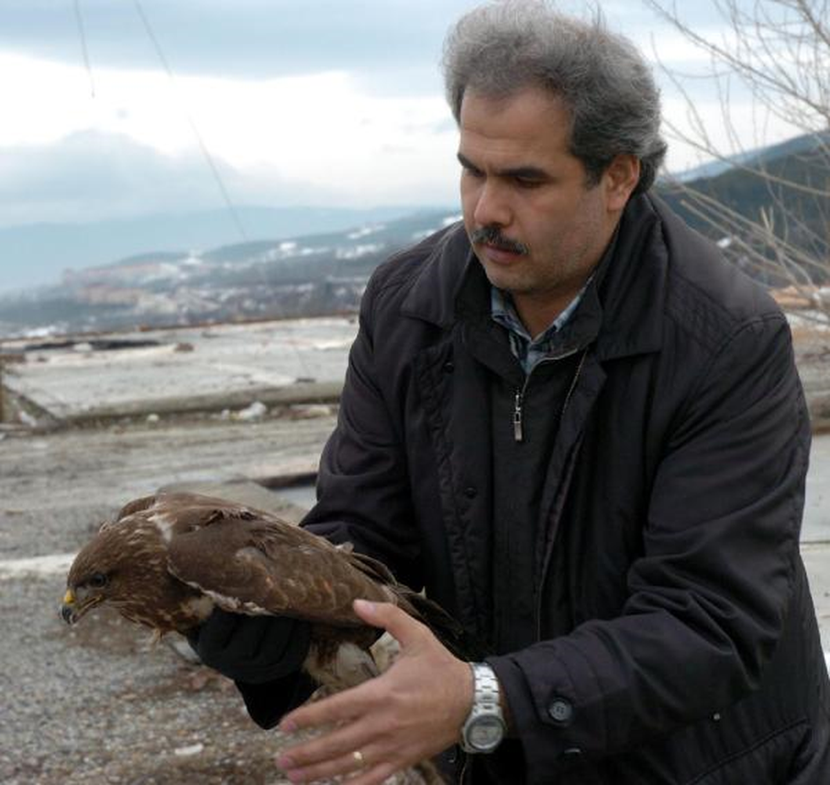 Açlıktan Bayılan Şahin, 5 Gün Beslenip Doğaya Salındı