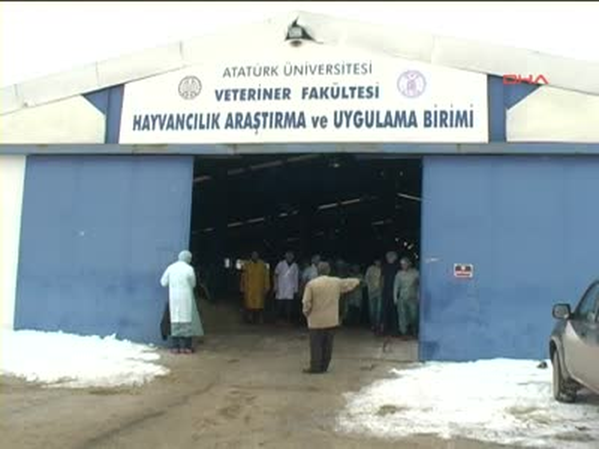 Azeri Akademisyenlere Uygulamalı 'Suni Tohumlama' Öğretildi