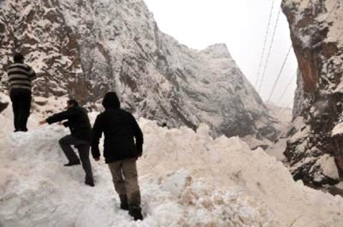 Bitlis'te İl Özel İdaresi'ne Ait 2 Araç Çığ Altında Kaldı