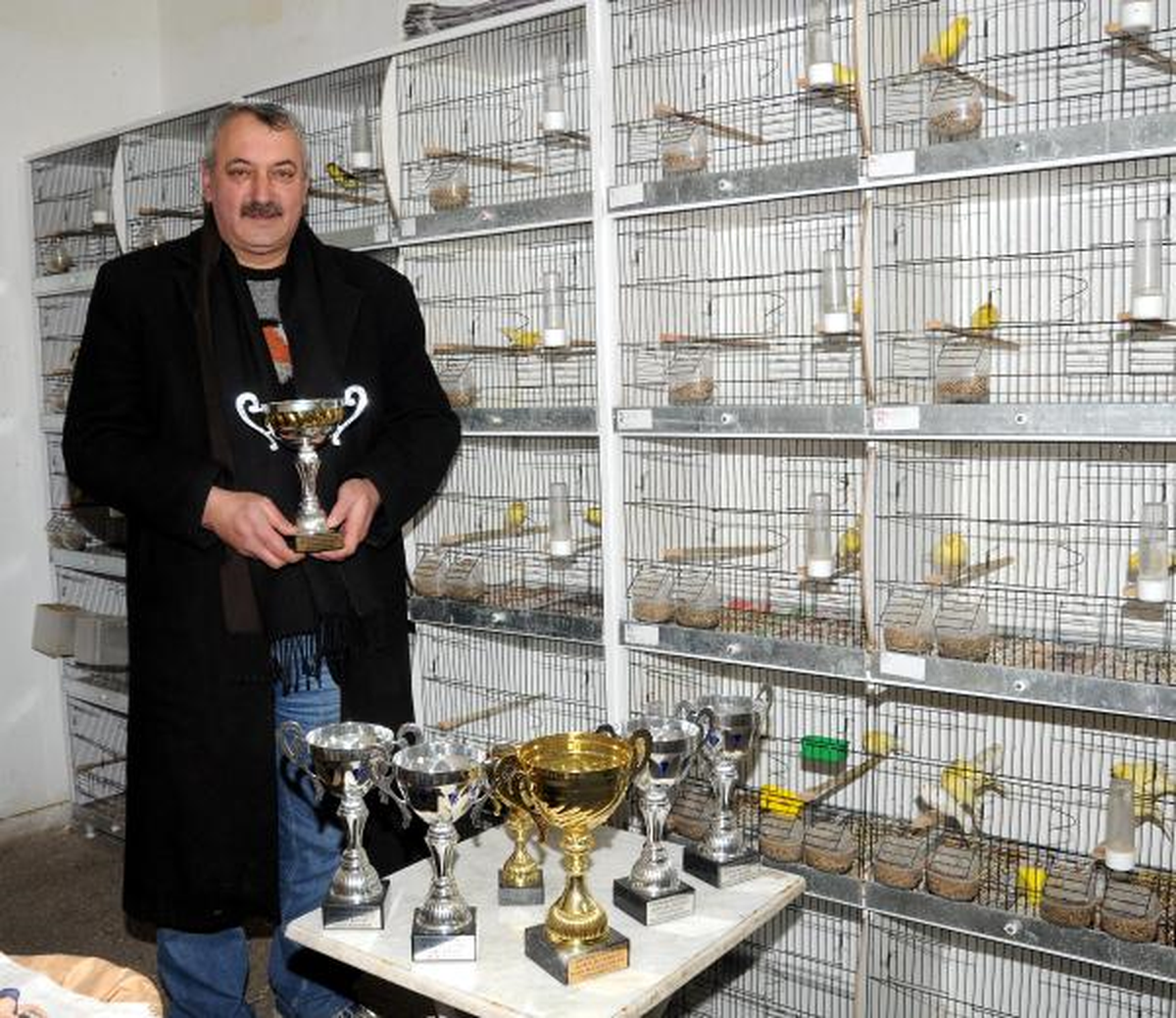 Şampiyon Kuşçu